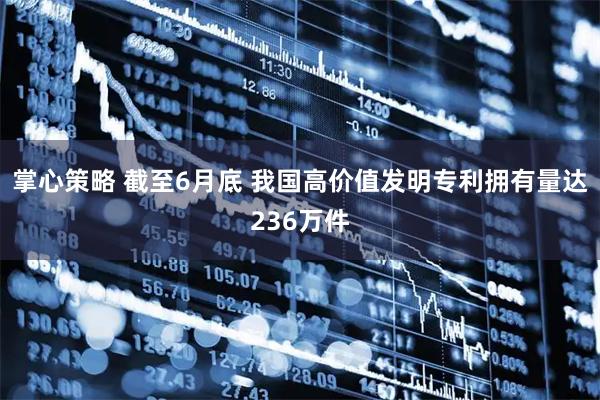 掌心策略 截至6月底 我国高价值发明专利拥有量达236万件